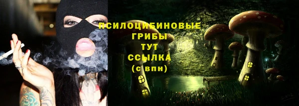 мескалин Балахна