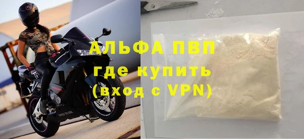 индика Саяногорск