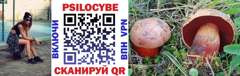 Псилоцибиновые грибы Psilocybine cubensis  Кондрово 